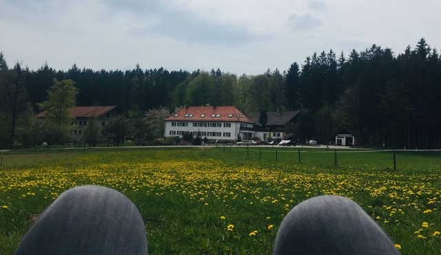 Charming 85 sqm apartment in a quaint inn & farm in the Bavarian forest