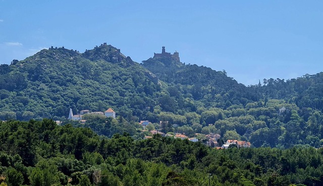 Charming accommodation overlooking the Sintra Mountains