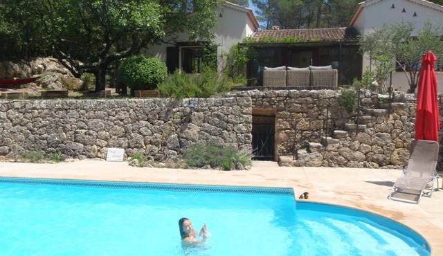 Charming air-conditioned Provencal villa with private pool hidden by the forest.