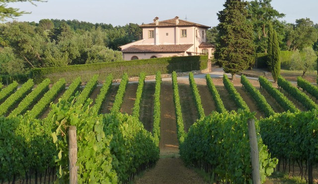 Charming and comfortable apartment in organic winery