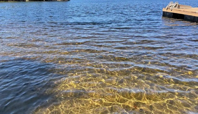 Charming and spacious, 4 bed, 2 bath, lakefront cottage