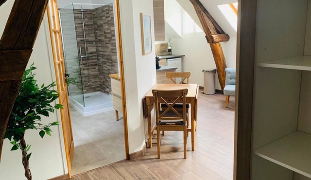Charming apartment, beams, historic center