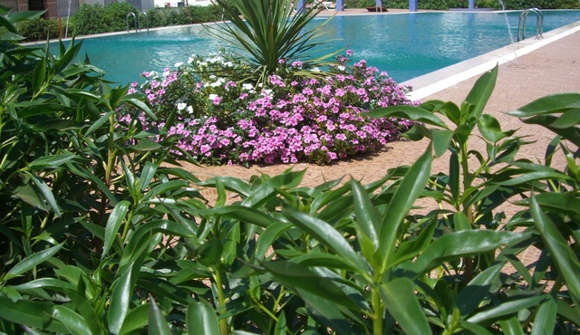 Charming apartment close to the beach with three pools and gardens