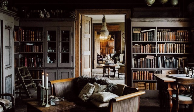 Charming Apartment with a Library