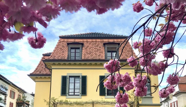 Charming apartment in an art nouveau building in Bern