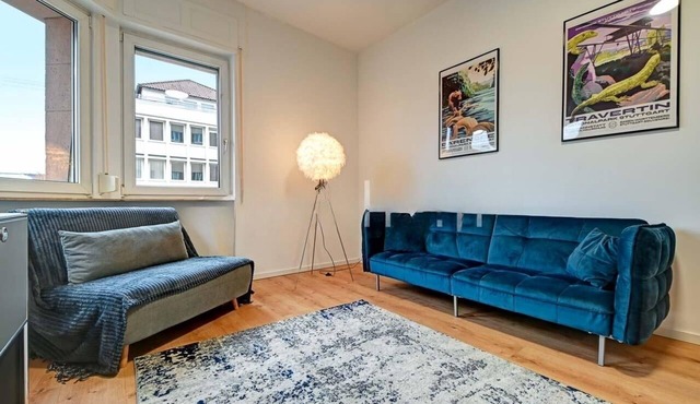 Charming apartment with park location