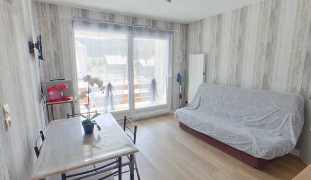Charming apartment with WiFi - 4 guests