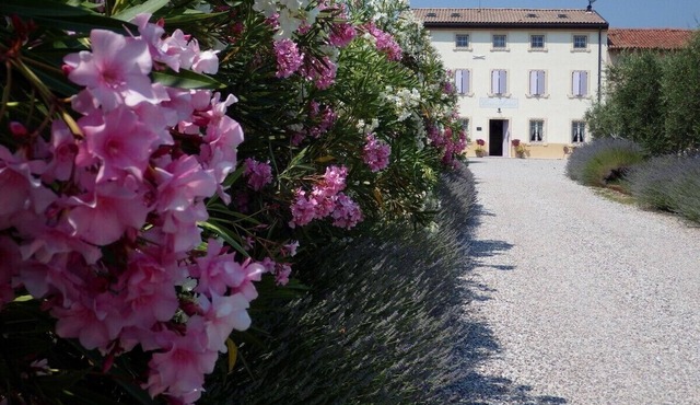 Charming B&B between Verona and Lake Garda