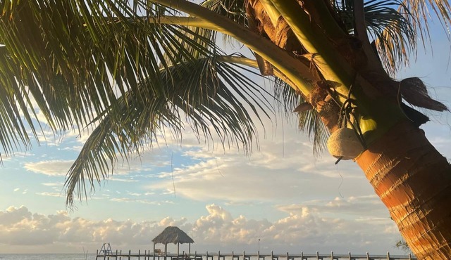 Charming beachfront studio cabana in sunny Placencia