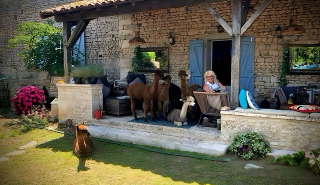 Charming bed & breakfast on an Alpaca Farm in the historic Limalonges Village