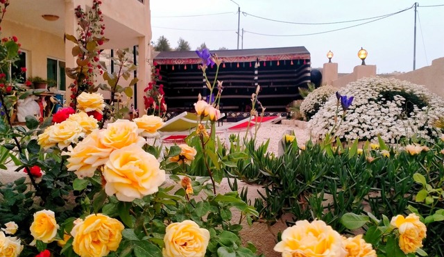 Charming bed & breakfast in marvelous Wadi Musa with breakfast included