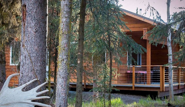 Charming Cabin Rental Surrounded by Chugach National Forest, Alaska