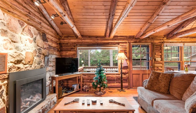 Charming cabin with game room, fireplace, hammock, & kitchenette