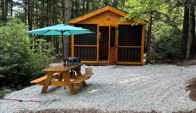 Charming cabin with AC in the White Mountains Tamworth Nh