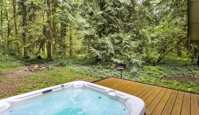 Charming cabin with hot tub, firepit, wood stove, & W/D - near Stevens Pass