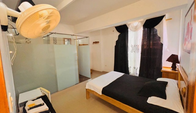 Charming Central Lodging: Active Night in the quiet town of San Rafael