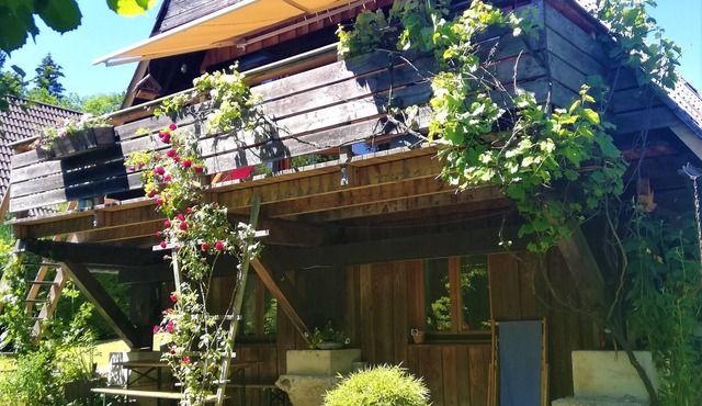Charming Chalet with Garden, Nature, Stream, Forest, and Tranquility