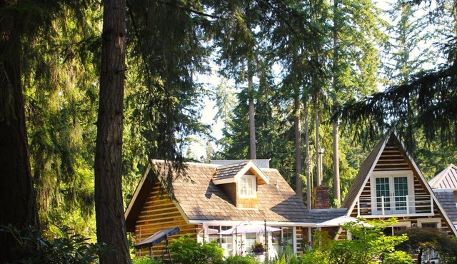 Charming chalet with 3 bedrooms and WiFi, AC in welcoming Sammamish