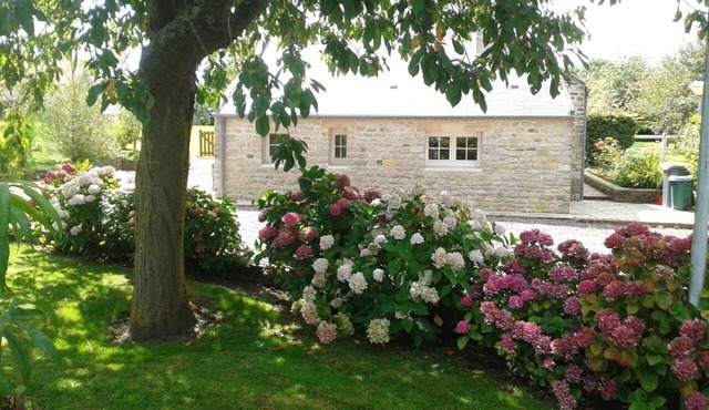 Charming cottage with a veranda facing south overlooking an orchard.