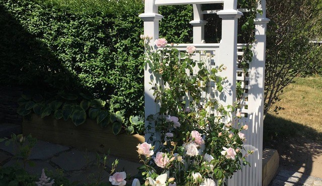 Charming Convenient & Affordable 5-Star In-Town Rental Cottage-SORRY NO PETS
