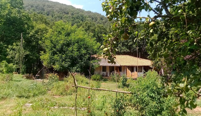 Charming cottage in the heart of the Ribera sacra