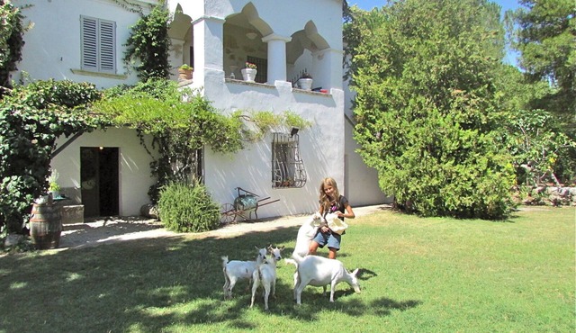 Charming COTTAGES (up to 2-4 p) nestled by wide gardens (pool, mountains, beach)