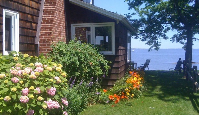 Charming cottage by the sea