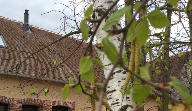 Charming cottage in the countryside 15 minutes from Chartres and its famous cathedral