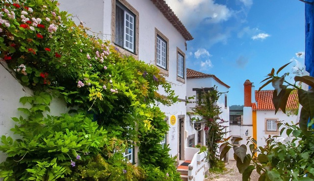 Charming cottage inside Óbidos castle
