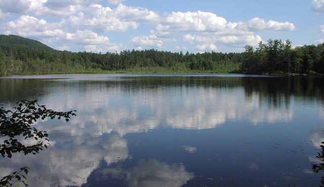 Charming Cottage - Private Community With Lake