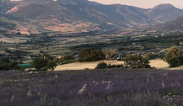 Charming Cycladic Farm