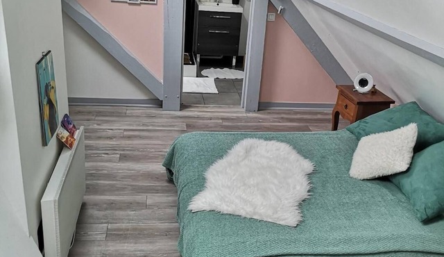 Charming duplex 140 m² 6 travelers hyper Center opposite Saint-Pierre Cathedral