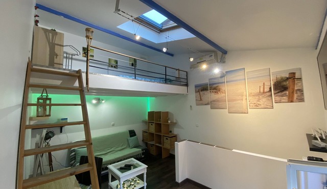 Charming Duplex Talence cocooning