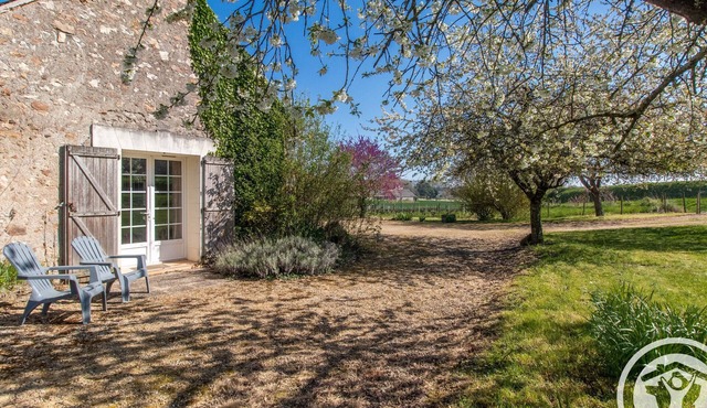 Charming Cottage Between Vineyards & Woods, Near Angers & Saumur