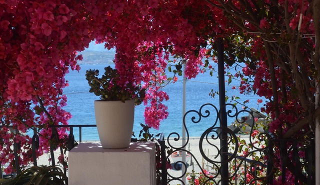 Charming fully equipped appartment on the beach