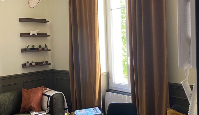 Charming fully renovated apartment in the center of Dijon