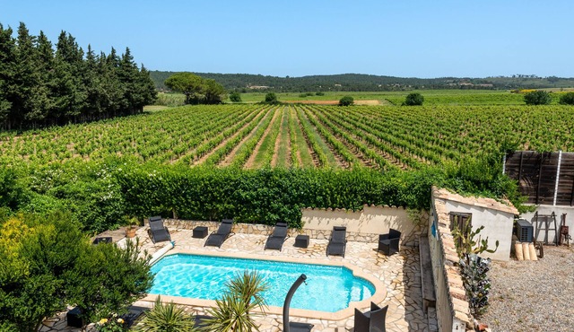Charming gite, heated pool, in a winegrowing estate 30 minutes from the sea.