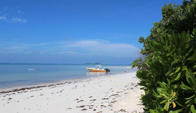 Charming holiday flat in Grand Anse with barbecue