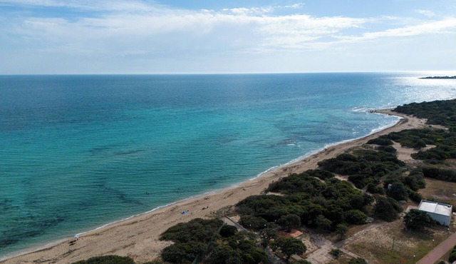 Charming Holiday Apartment "Casa Antony Punta Prosciutto" with Terrace