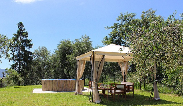 Charming House between Olive trees, big garden with amazing sea view