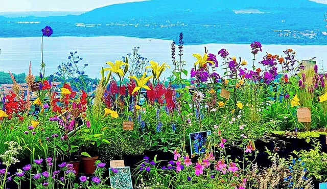 Charming house in the delightful Borgo Tra-Monti e Laghi
