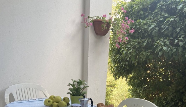 Charming house with breathtaking view of the city, 500 m from the center!