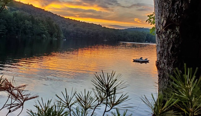 Charming Lake front 2-bedroom cabin in delightful Brooks 6 miles from ocean