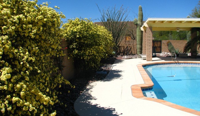 Charming Large Guest Suite in Tanque Verde Valley