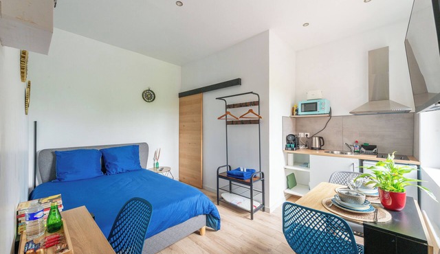 Charming, light-filled studio - Centre-ville-Gare