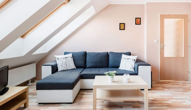 Charming Loft Apartment near the City Center