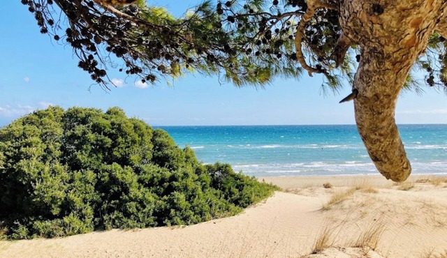 Charming loft-style apartment just 60 m from Artemida’s long sandy beach!