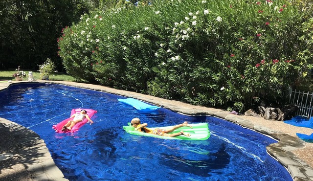 Charming Marin County Getaway w/Pool in Ross-Walk to Trails/Downtown San Anselmo