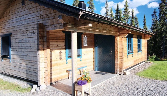 Charming modern log cabin with fireplace