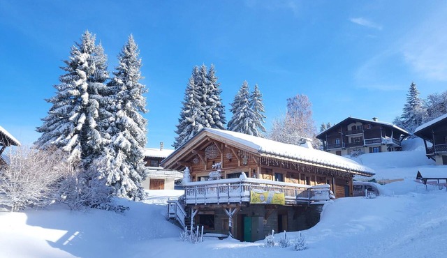 Charming mountain apt, near slopes, 6 pax, parking, WiFi included